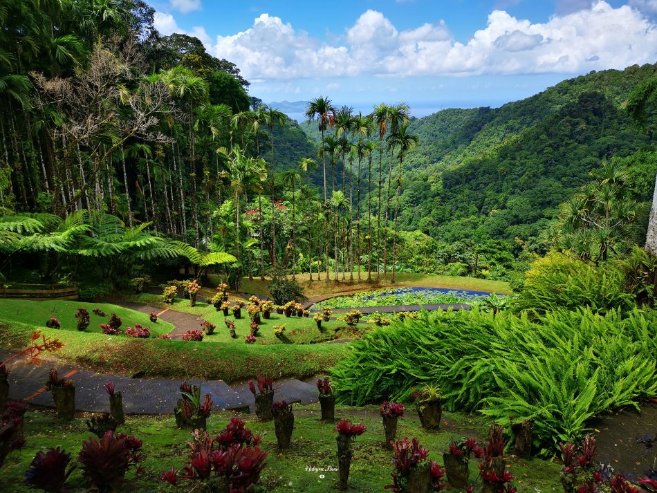 location villa au diamant martinique